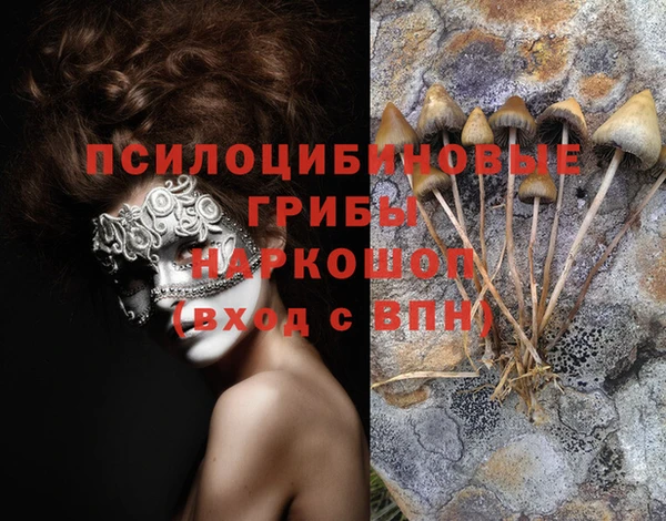 гидропоника Алексин