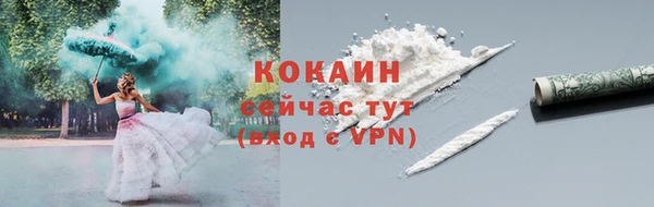 прущий лед Алзамай