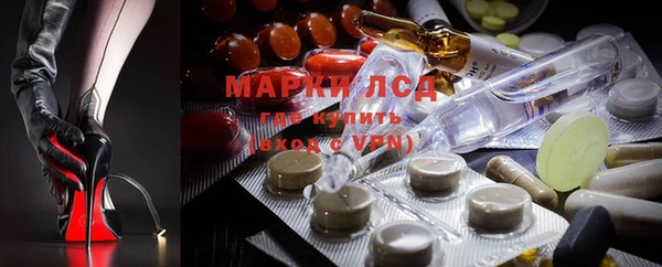 spice Абаза