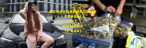 spice Абаза